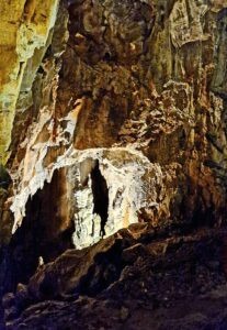 Grotta Gigante Stalagmites
